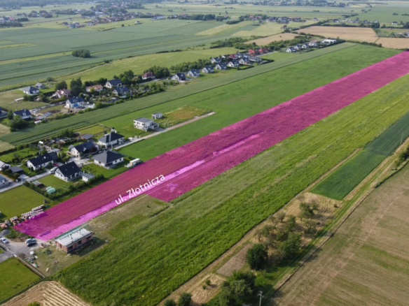 Pakiet 3 działek budowlanych – gotowy pomysł na Twój pierwszy projekt deweloperski | Złotniki
